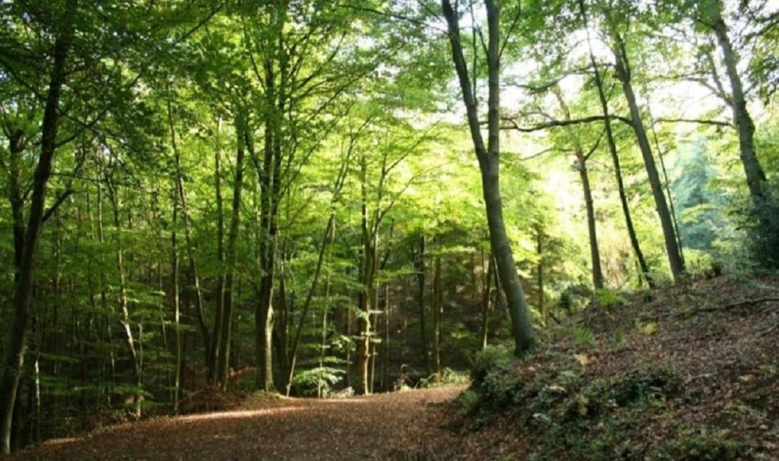Haus Natura Jurdani Exteriör bild